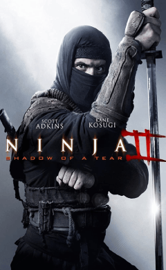 ninja shadow of a tear (2013)