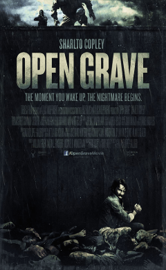 open grave (2013)